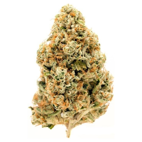 Billy Kimber OG