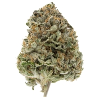 Jet Fuel OG