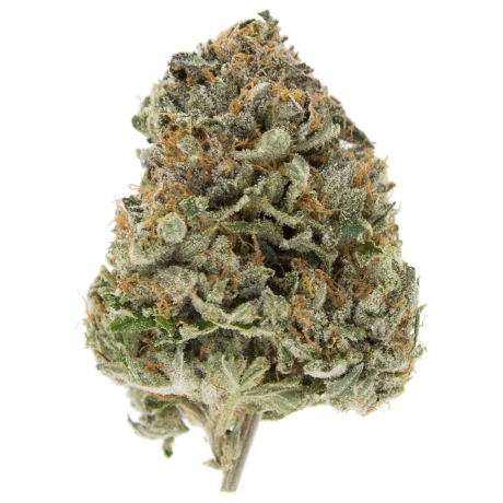 Jet Fuel OG
