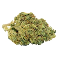 Jungle Cake