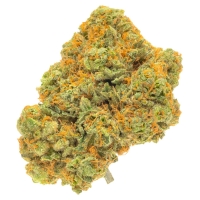 King Louis XIII