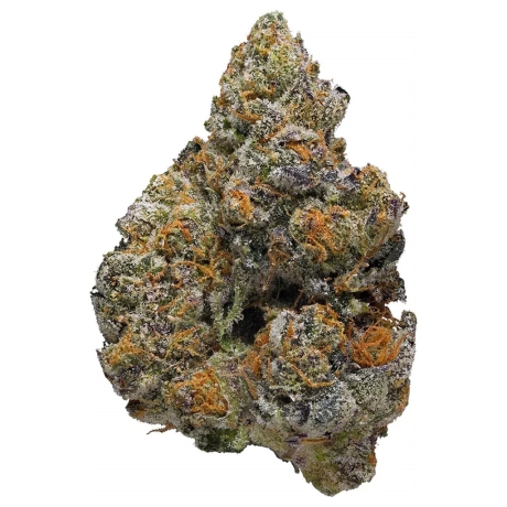 Monster Cookies