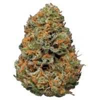 Papaya Dream Cake