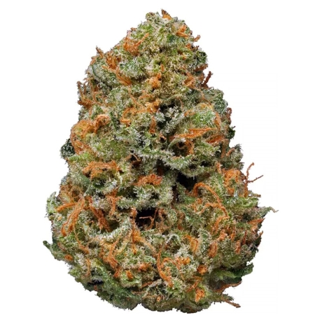 Papaya Dream Cake