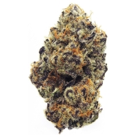 Purple Punch