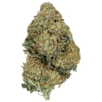 SFV OG Kush
