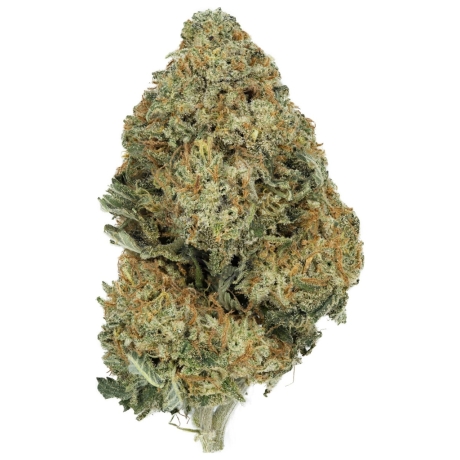 SFV OG Kush