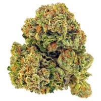 SKYWALKER OG