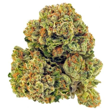 SKYWALKER OG