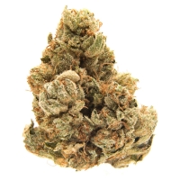 Topanga Canyon OG