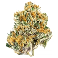 Tropicana Punch