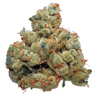 White Fire OG